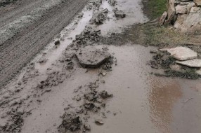 Prilazi domaćinstvima, održavanje javnih površina i slično