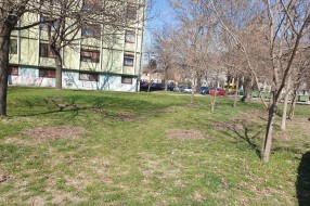 Trulo lišće na zelenim površinama Prozivke