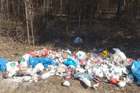 Stvaranje malih deponija u subotičkoj šumi