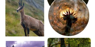 Izložba fotografija: Lepota u očima prirode