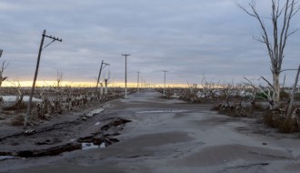 EFF Palić: Homo Sapiens