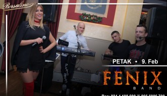 Fenix band
