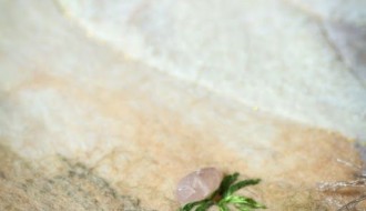 Izložba: Anđeli od pusta