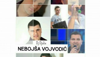 Nebojša Vojvodić