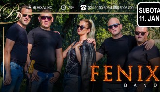 Fenix band