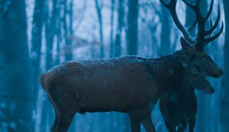 Film: Na telu i duši