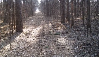 Redovna šetnja zdravlja sredom