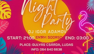 Noćna žurka na bazenu