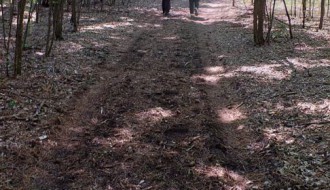 Šetnja zdravlja sredom