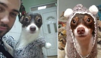 Humanitarna svirka za Animu