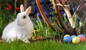 Velika akcija sakupljanja namirnica