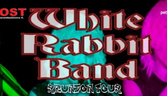 White rabbit band (Reunion tour)
