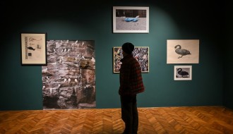 Vođenje kroz izložbu (NE)LJUDSKE PERSPEKTIVE: PTICE U SAVREMENOM SVETU