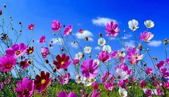 Prolećno fotografisanje