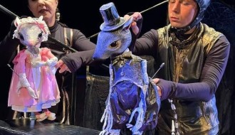 Lutkarska predstava: "Želim da budem normalan"