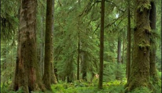 Zaštita prirodnih dobara u ogledalu globalnih ekoloških problema