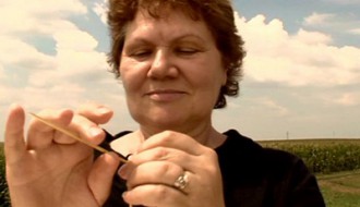 Ciklus Hrvatskog filma 2012