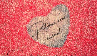 Izložba: Putokaz kroz lavirint - Ivana Stuparević