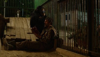 25. Festival evropskog filma Palić: Takmičarski program: Godina majmuna