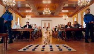 Teen kino: Pas na sudu