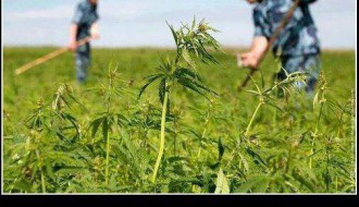 "Lucky & Skinfy" acoustic duo