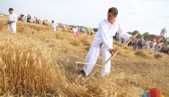 Dužijanca 2018 - 50. po redu "Takmičenje risara"