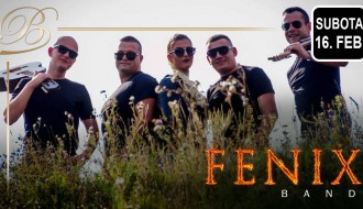 Fenix band
