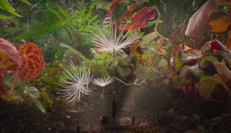 Film: Odiseja jednog maslačka