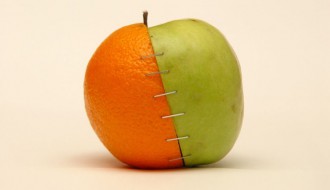 Radna soba:  (R)evolucija svesti -  neznanje koje izaziva paniku: GMO