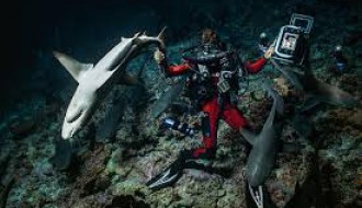 Festival podvodnog filma