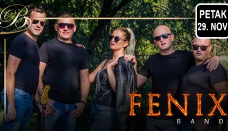 Fenix band