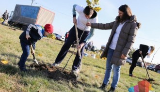 Podizanje drvoreda na putu Subotica - Stari Žednik