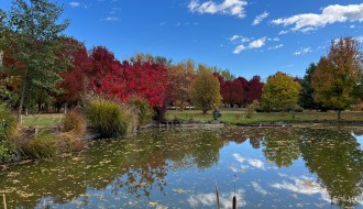 Slikaj i Cirkaj: Poznati umetnici na Salašu Đorđević