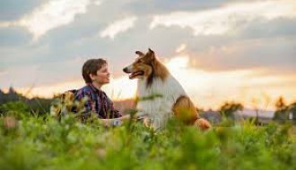 Film: Lesi se vraća kući - sinhronizovano