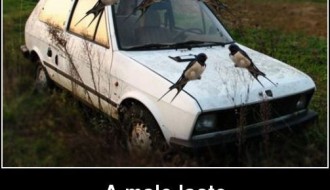 Andrej Ademi unplugged