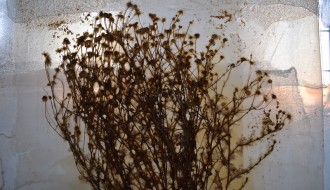 Ana Vujović: O BESKONAČNOJ PROMENI