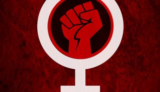 Lady D - Flex - BB Wolf