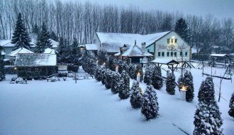 Proslava Pravoslavne Nove godine