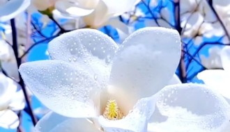 Besplatna psihoterapijska radionica - konstelacije