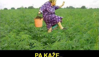 Bend "YU ritmix" live