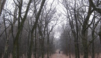 Šetnja zdravlja sredom