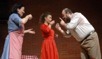 OTKAZANO Predstava Beogradskog narodnog pozorišta "Balkanski špijun"