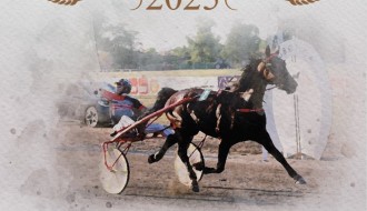 Internacionalne trke "Dužijanca 2025"