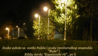 Tamburaški orkestar "Ruže"