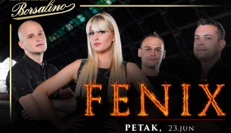 Fenix band