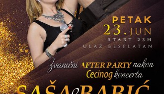 Saša Babić & Mega bend