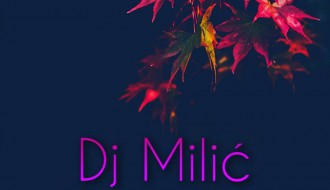 DJ Milić