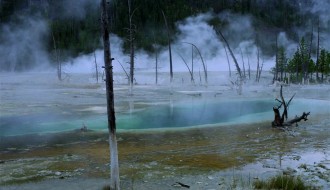 Filmsko veče – SRCE OD STAKLA