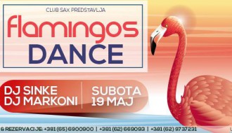 Flamingos dance party