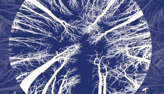 Bemutató: Tükörrengeteg